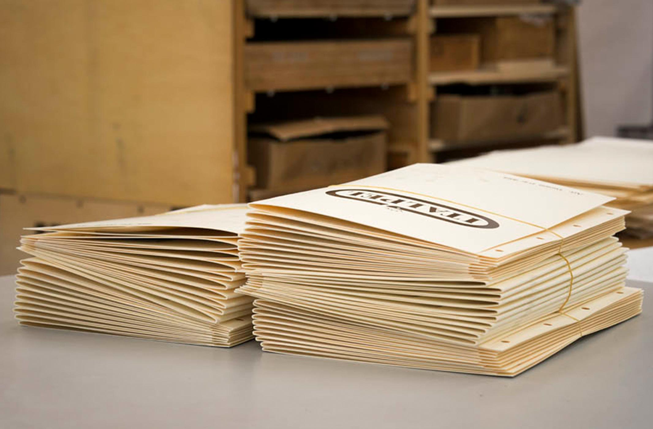 grafica03